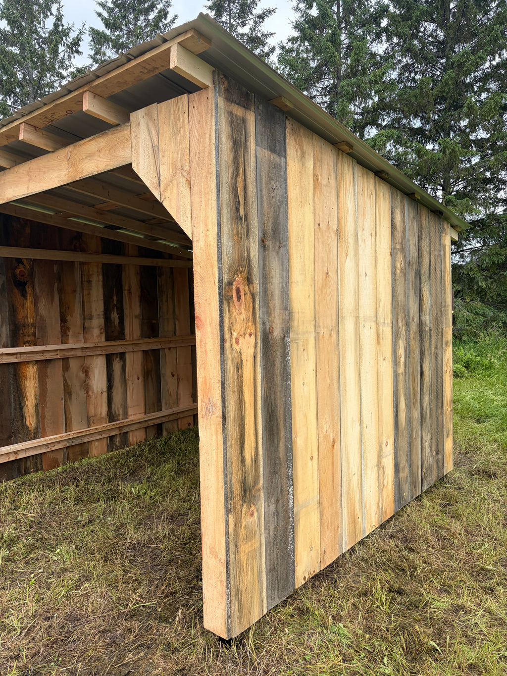Abris de chevaux 10x10