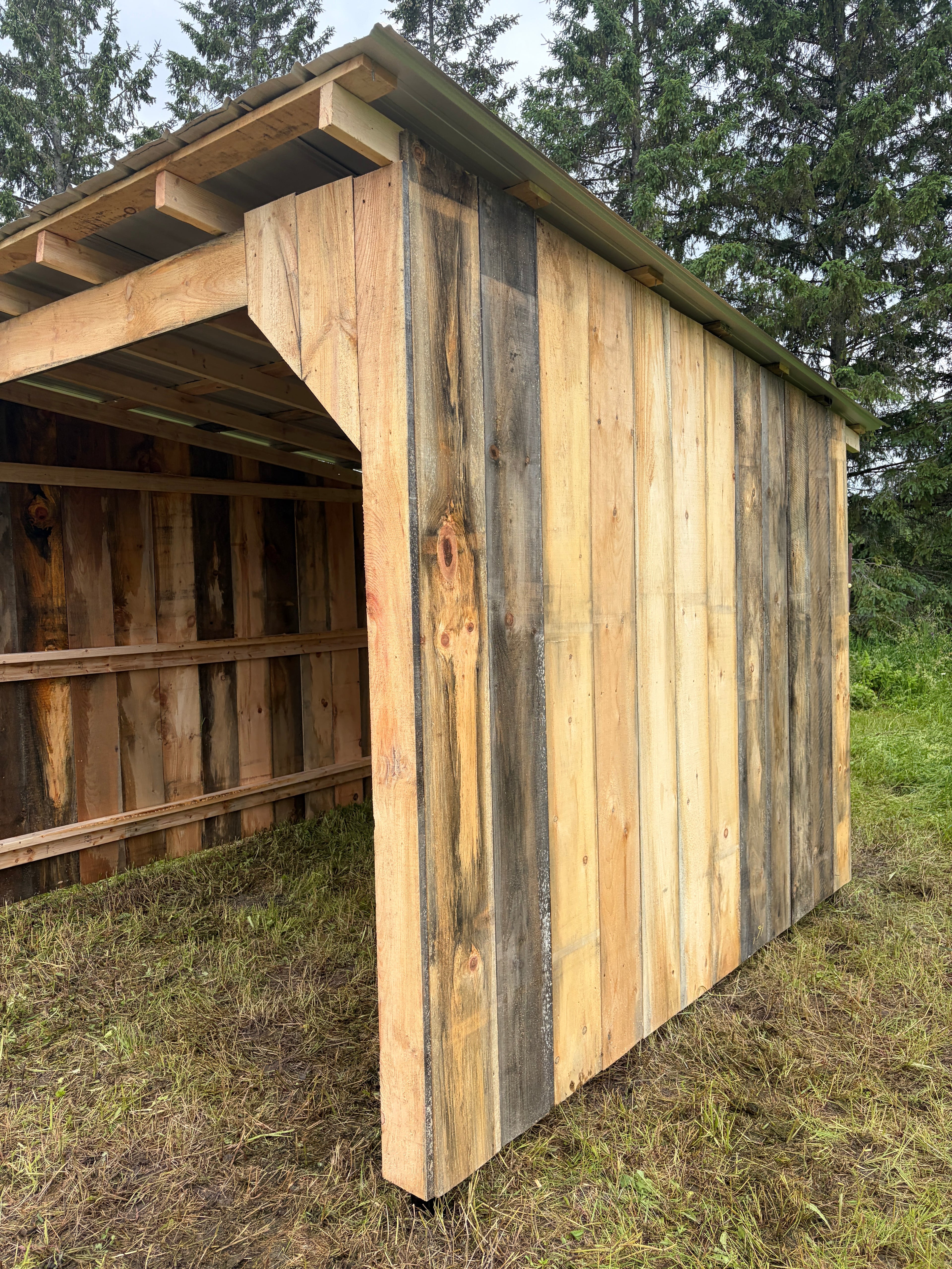 Abris de chevaux 10x10