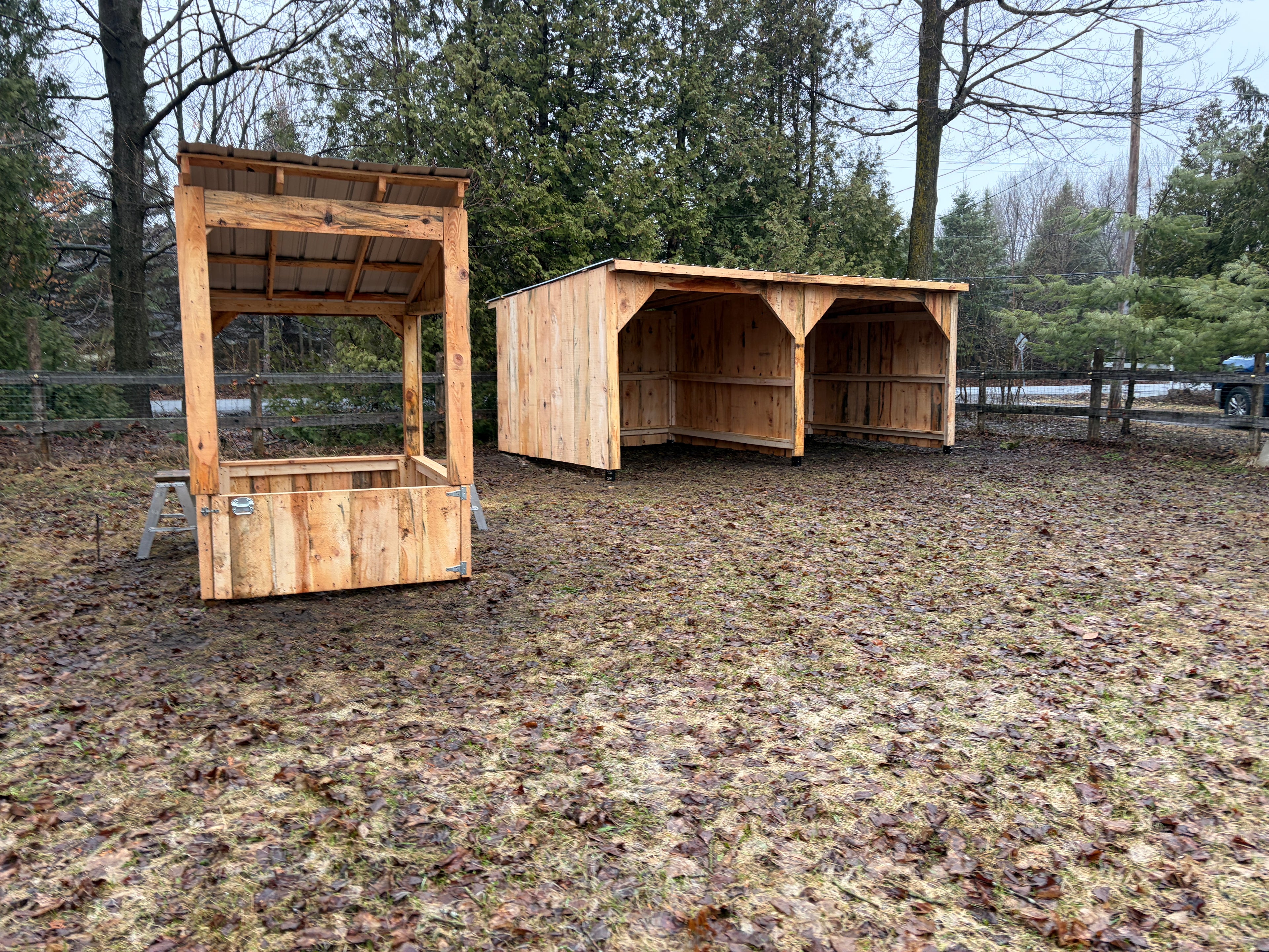 Abris de chevaux 10x20