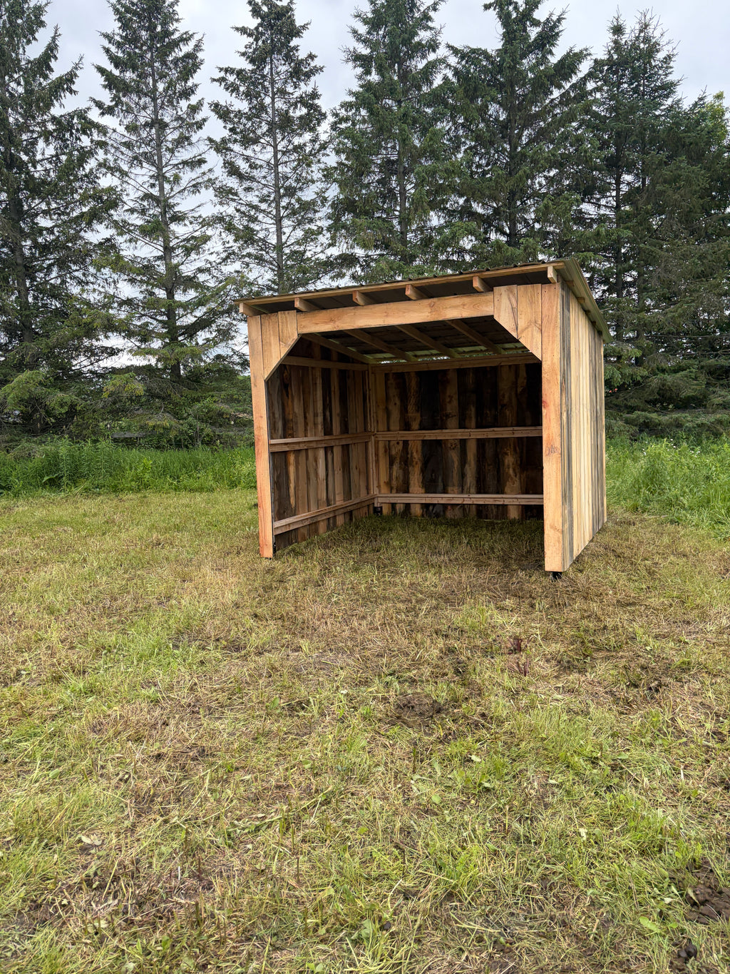 Abris de chevaux 10x10