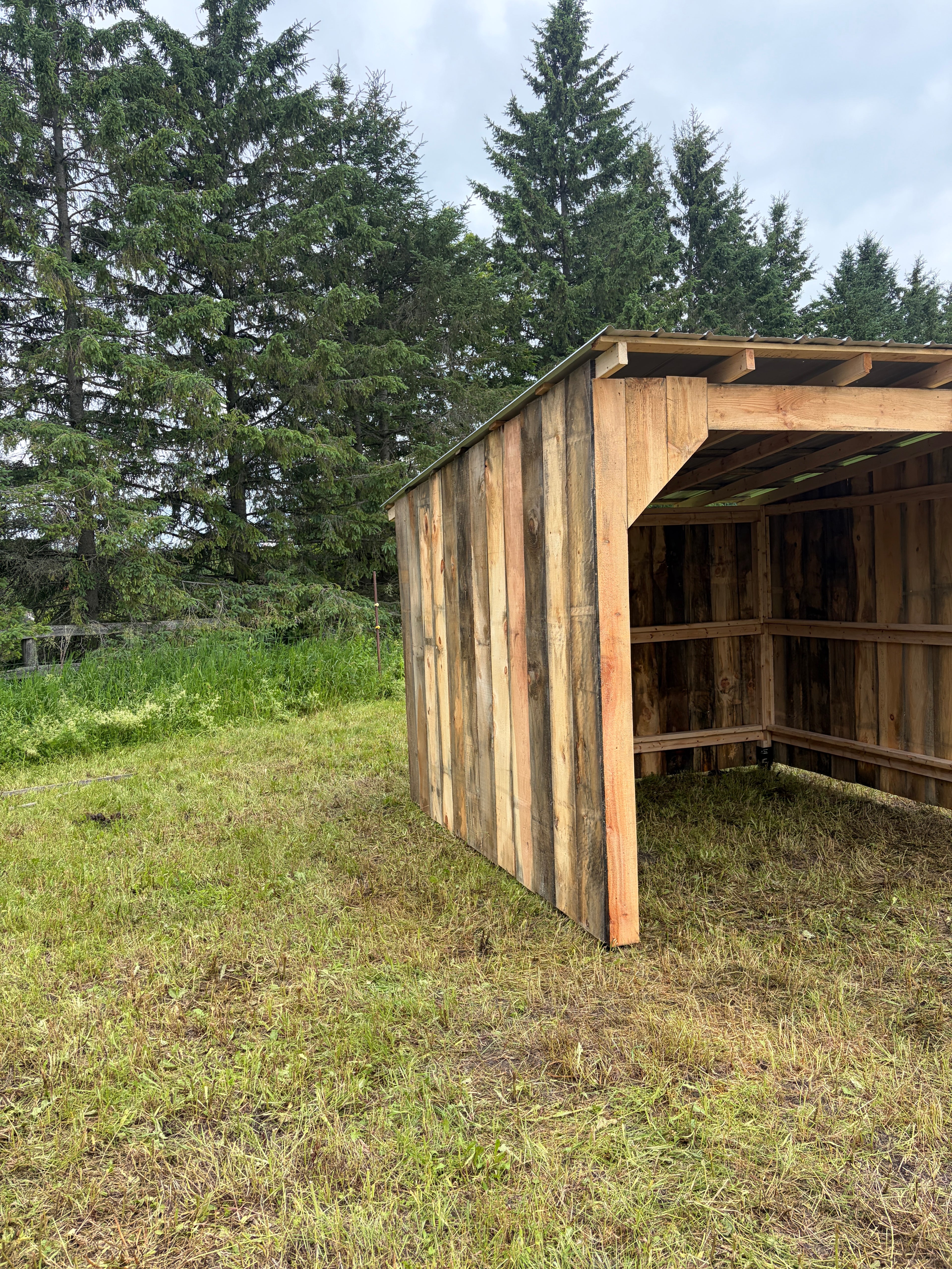 Abris de chevaux 10x10
