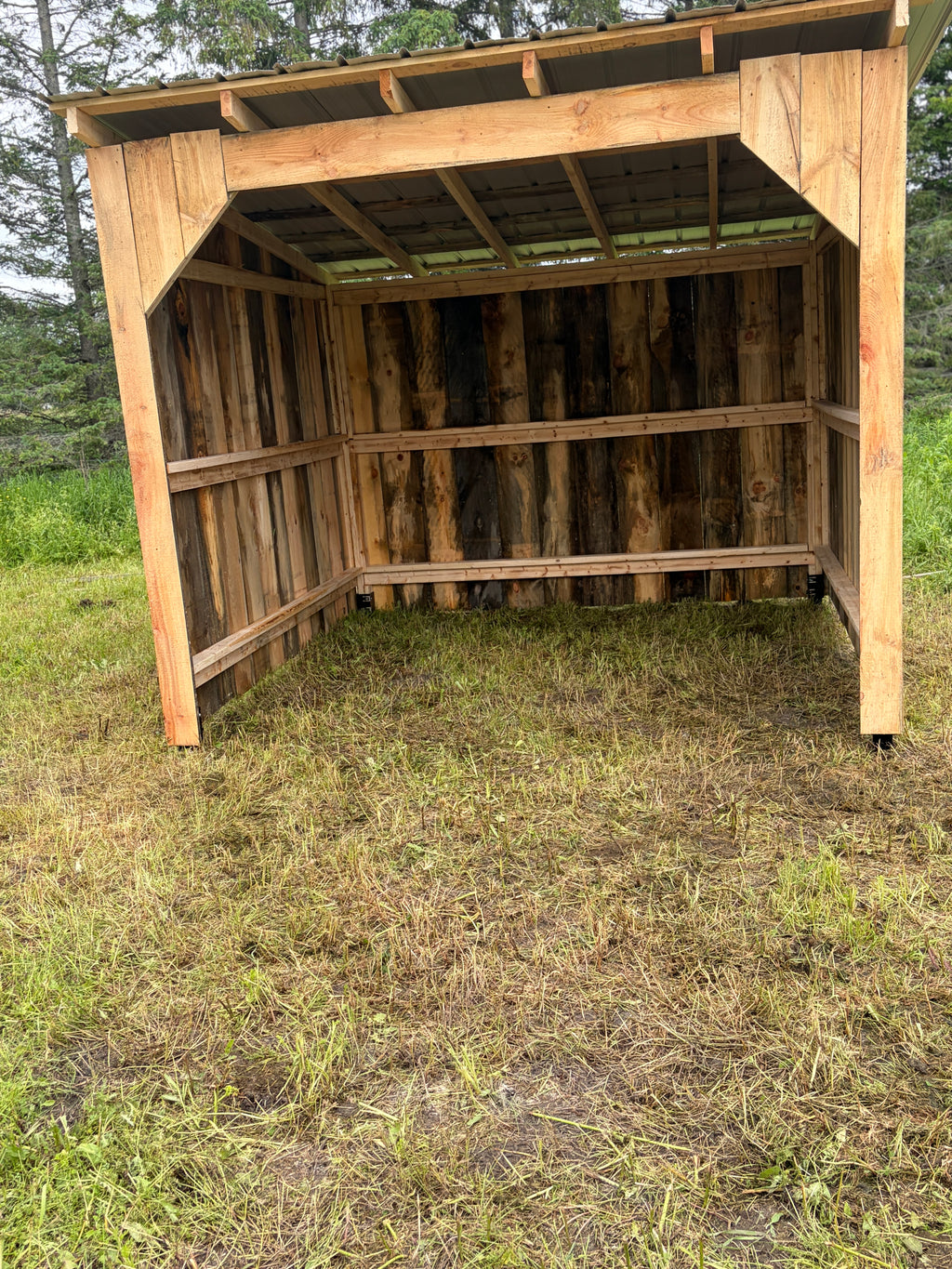 Abris de chevaux 10x10