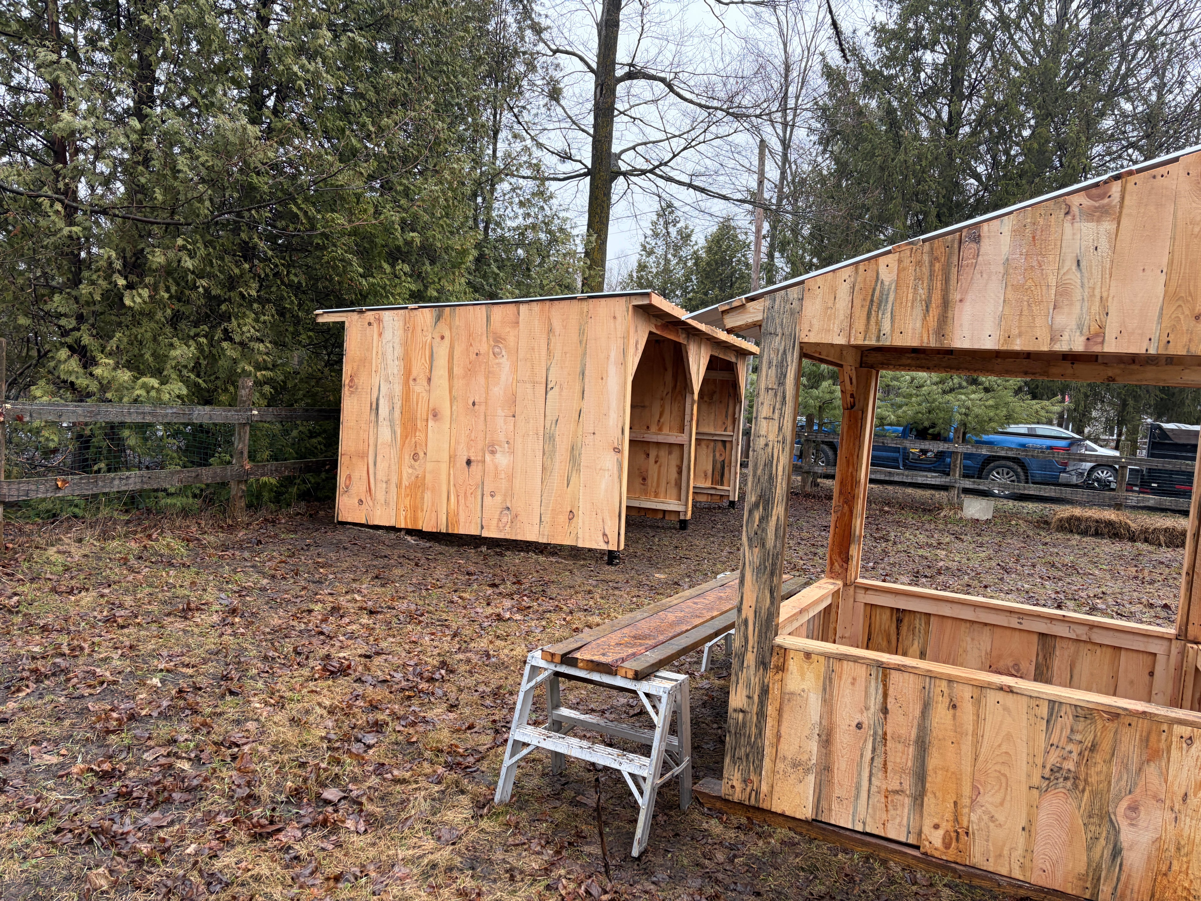 Abris de chevaux 10x20